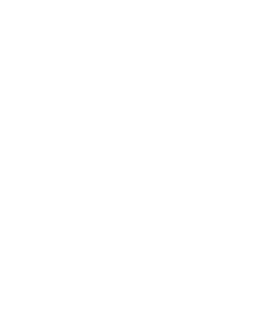 Logo officiel de Vertigo Record Montpellier